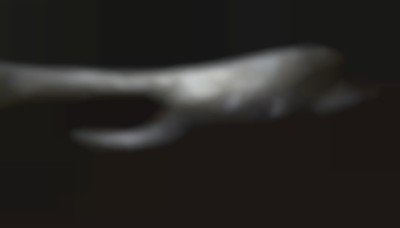 Exploration des dynamiques psychologiques derrière l'attrait pour le contenu extrême en ligne